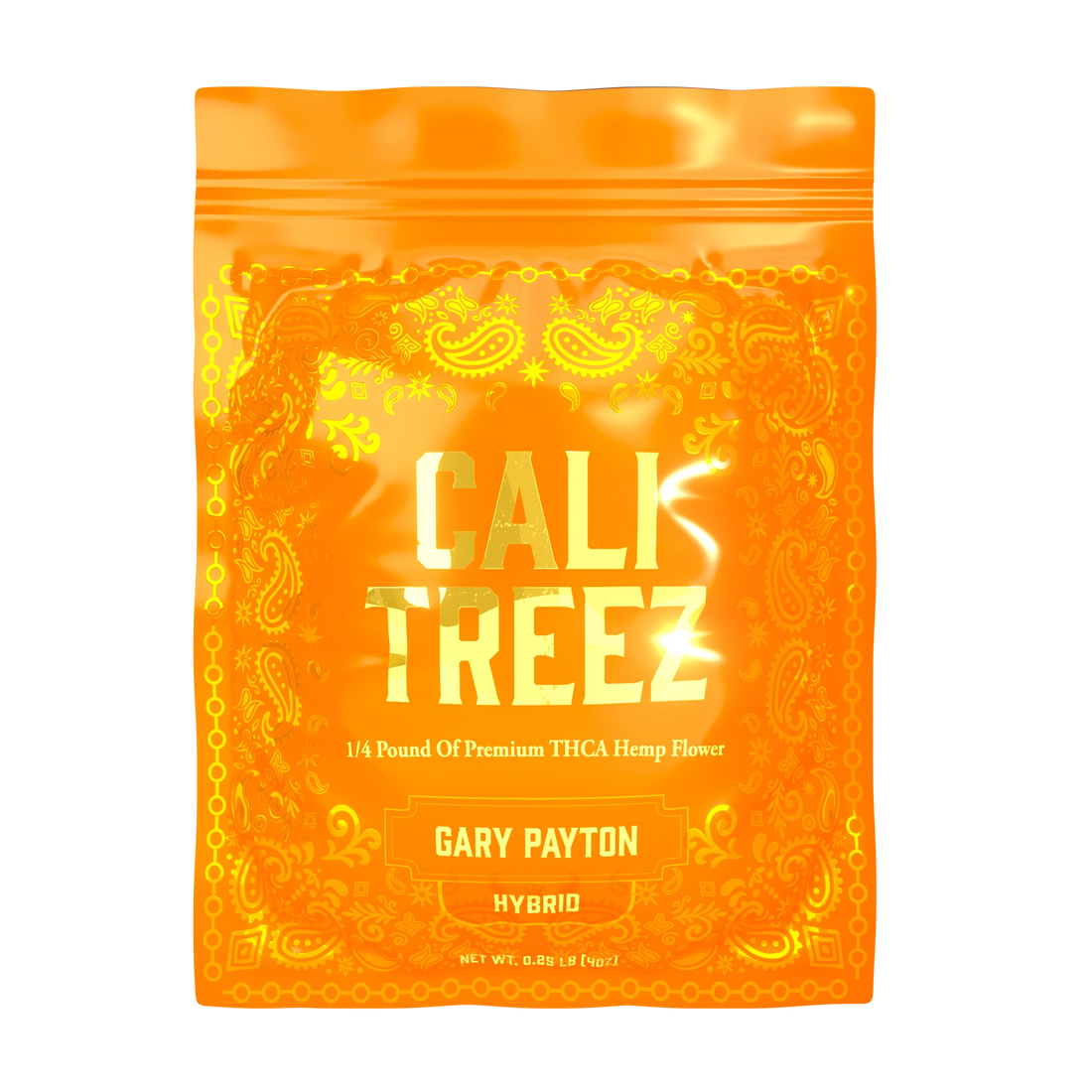 <strong>Gary Payton </strong>
