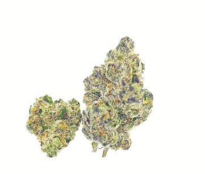 Grape Bubblegum