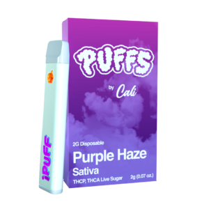 Purple Haze Disposable 2G - Puffs